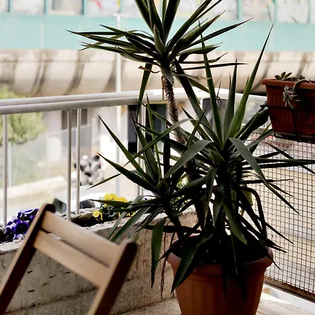 Vatican View Apartment